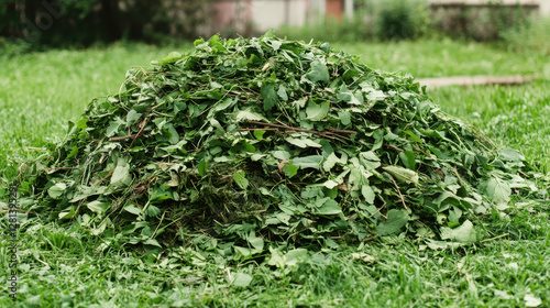 Green Waste Concept, large pile of green waste, including grass clippings and leaves, sits on grassy area, showcasing natural gardening materials