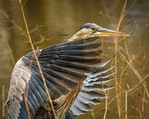 A majestic heron spreads its wings amidst a backdrop of bare branches and a muted water surface. The intricate detail in the bird's feathers contrasts with the soft, natural hues of the environment..