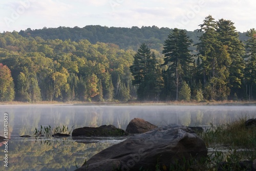 forest reflection on a northern Ontario Lake