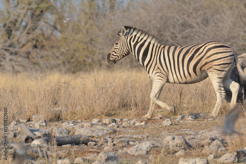 Foto In the foreground, there are zebras with their characteristic striped coats that create a fascinating visual effect