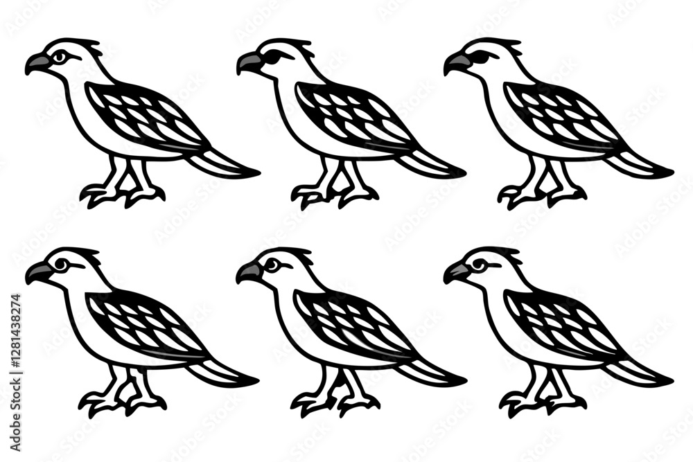 Fototapeta premium Elegant Osprey Vector Design