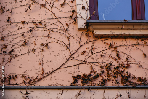 Fototapeta Naklejka Na Ścianę i Meble -  Bielsko Biała, stare zabytkowe kamienice, luty 2025.