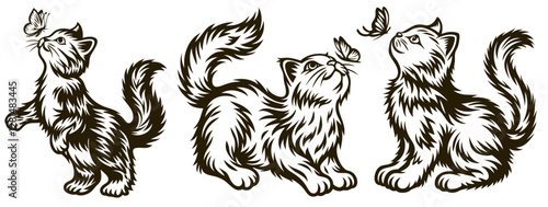Fluffy cats, relaxing and playing, different personalities, cute poses, curious and independent cats, playful feline illustrations