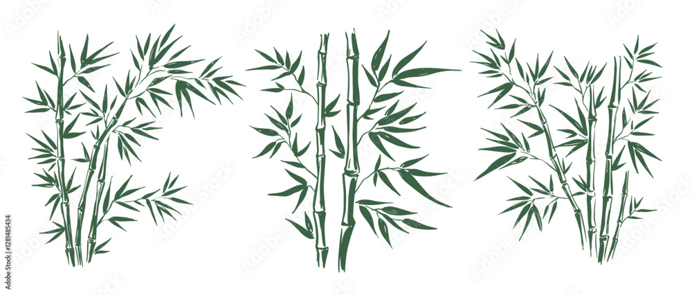 Bamboo tree, Hand drawn style. Bamboo tree, Hand drawn style.
