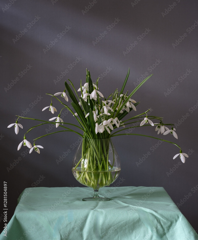A Beautiful Arrangement of Elegant Snowdrops in a Glass Vase