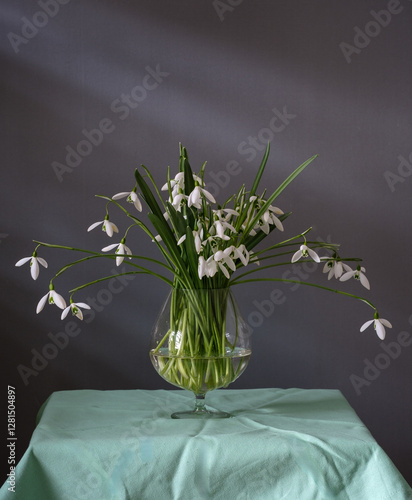 Obraz na płótnie A Beautiful Arrangement of Elegant Snowdrops in a Glass Vase w salonie