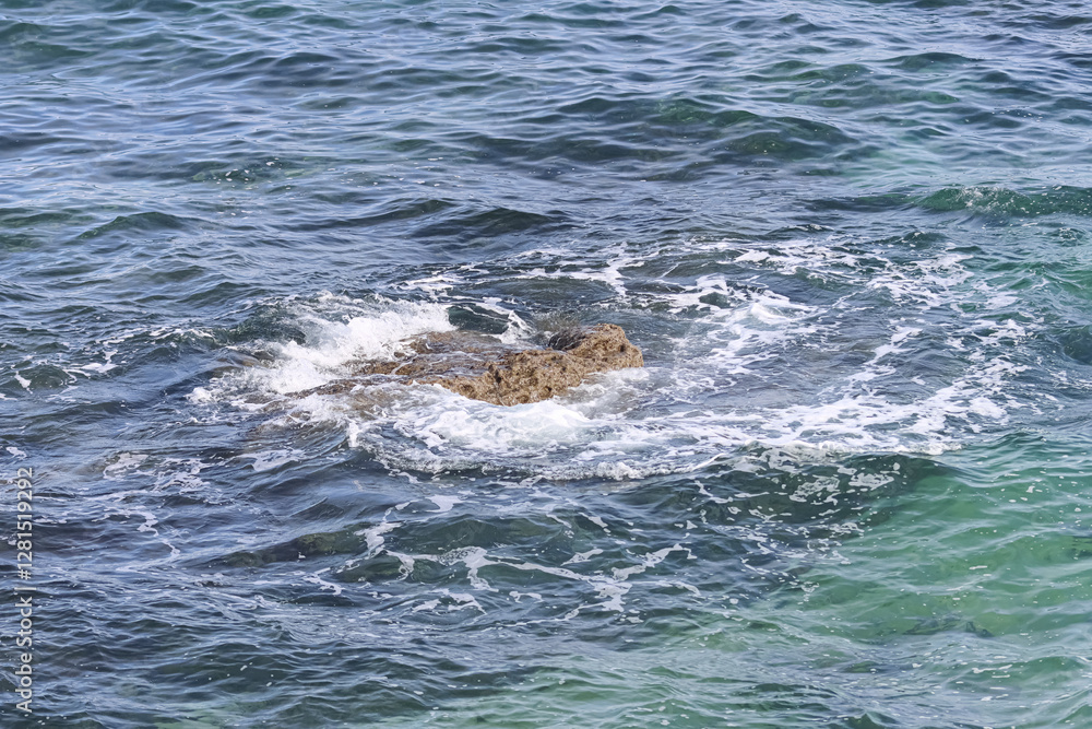 Obraz premium Rocks on the shore between the waves.