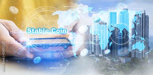 The concept of using stablecoins in the financial system
