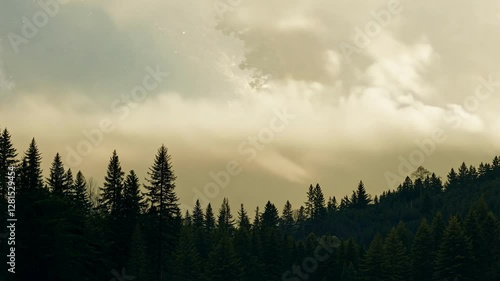 Nature showcases its beauty as the sun sets behind a dense forest. Silhouettes of towering trees contrast against warm, glowing clouds, creating a serene atmosphere.