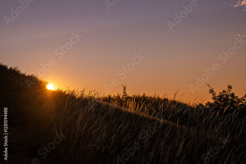 sunset in the field