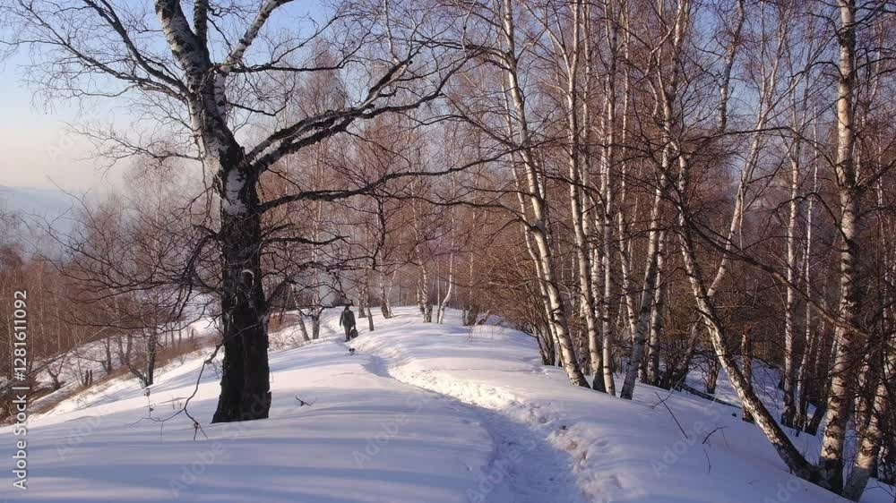 A man walks with his dog in a beautiful mountain forest among birches in winter. Almaty, Kazakhstan, Trans-Ili Alatau.