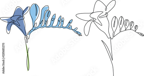 Freesia flowers continuous linear elegance drawing clipart. 