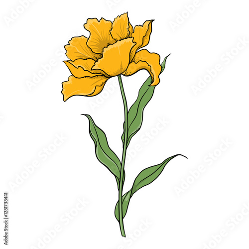 Floral Illustration With Colorful Yellow Tulip