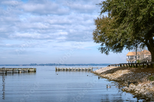 Inlet on a lake with serene shaded shoreline.  ducks are floating in the calm waters.  Lake Conroe