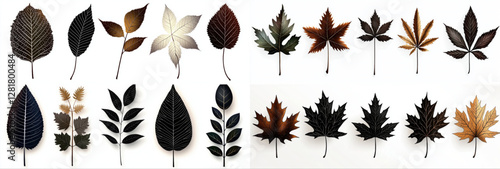 Vector silhouette collection of grass, flowers, leaves, and trees in autumn season