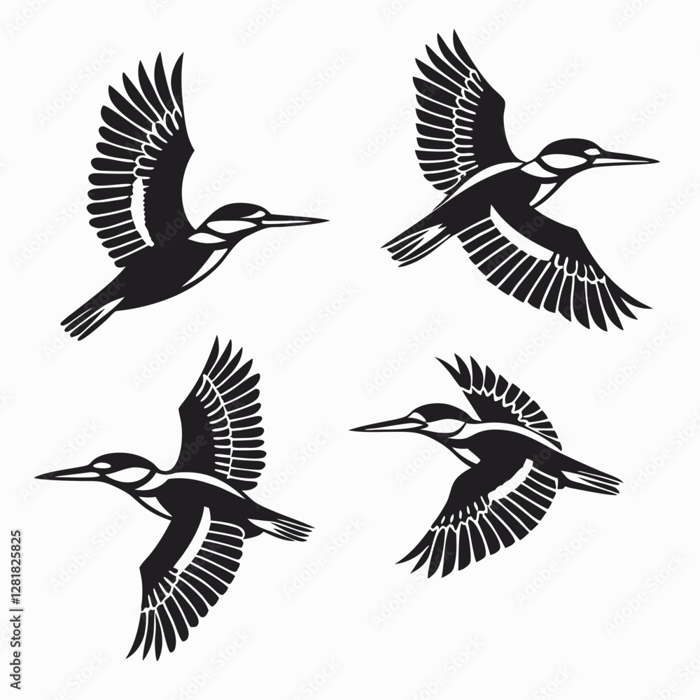 Obraz premium set of birds