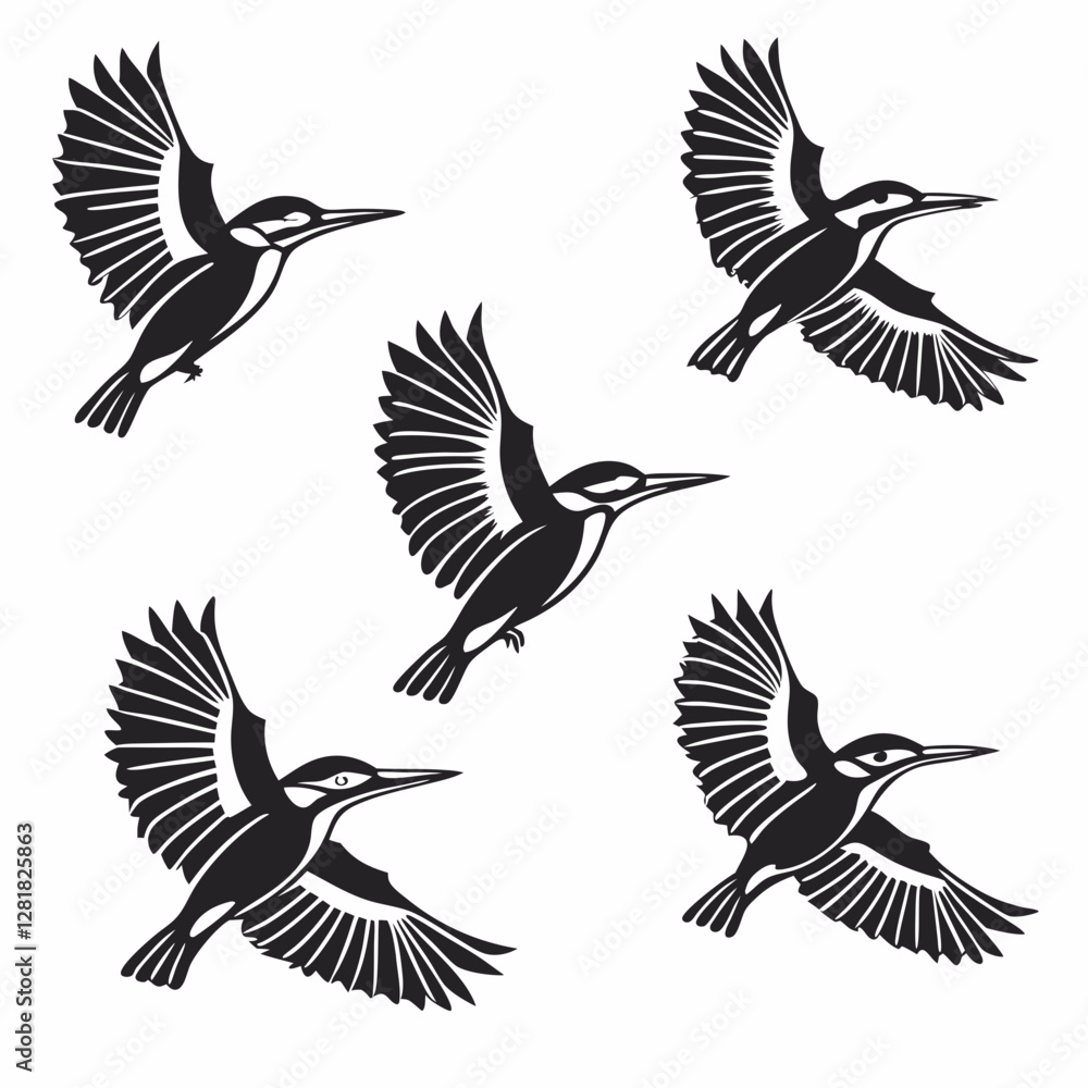 Obraz premium set of birds