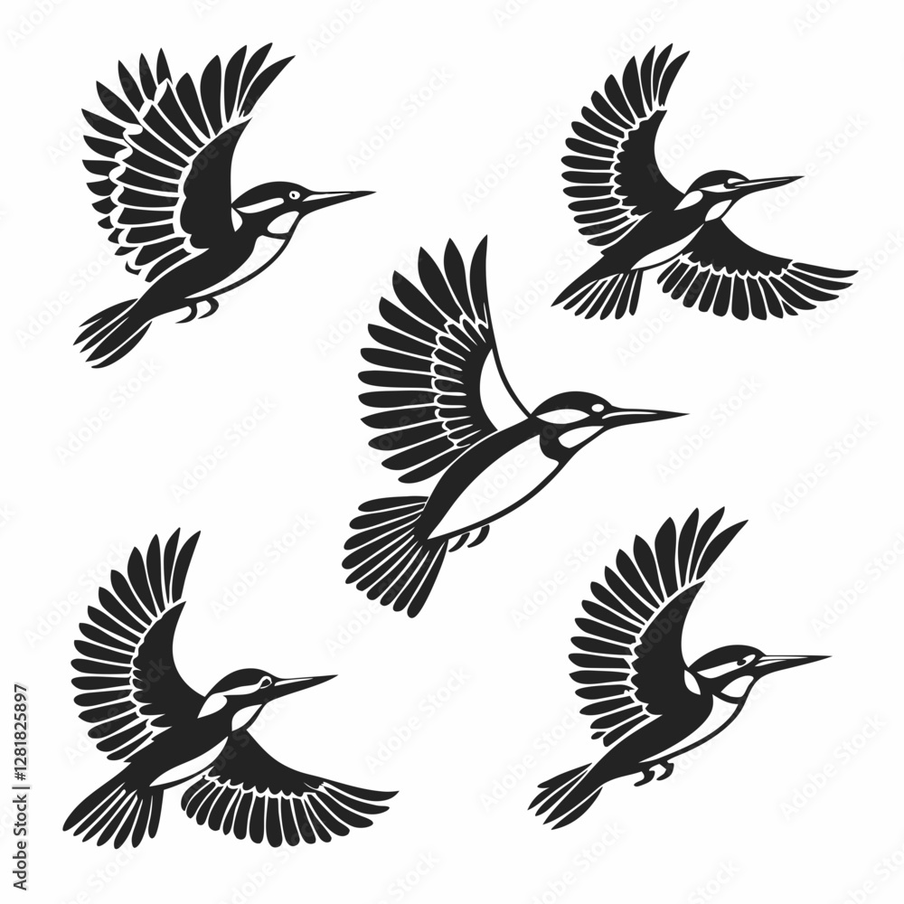 Obraz premium set of birds