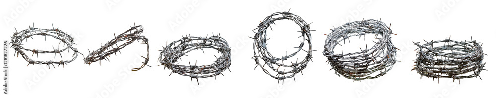 Fototapeta premium Thorny Crown of Jesus