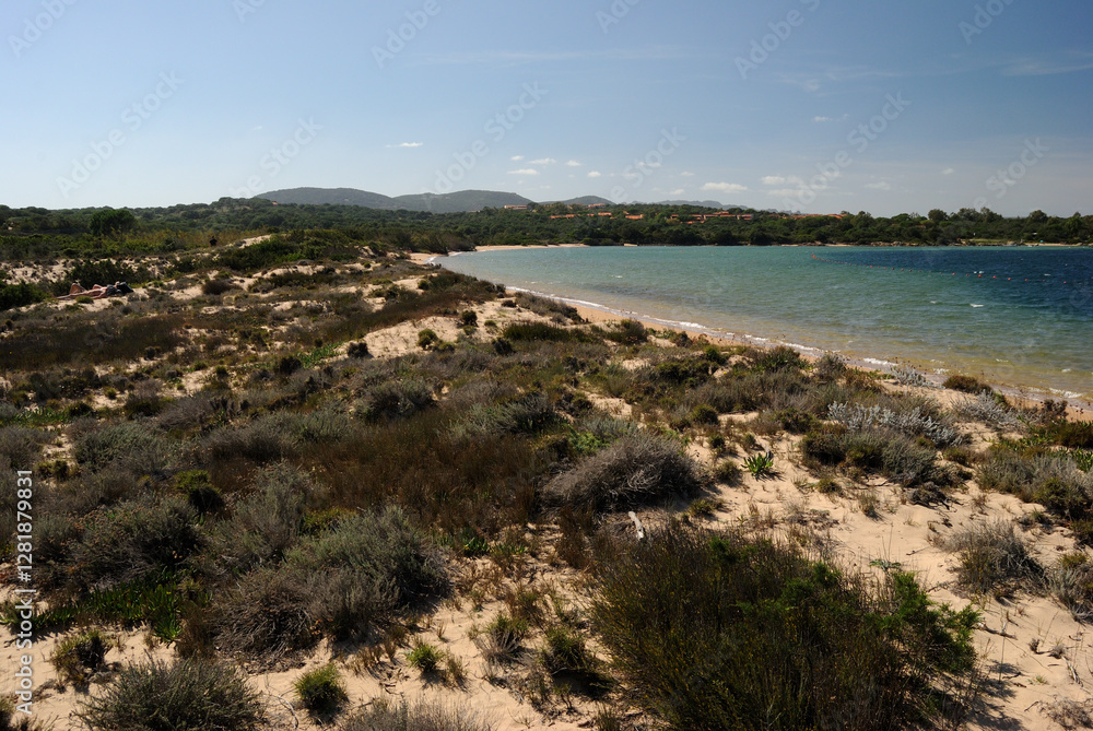 La spiaggia di Padula Piatta o Cala Petralana La spiaggia di Padula Piatta o Cala Petralana