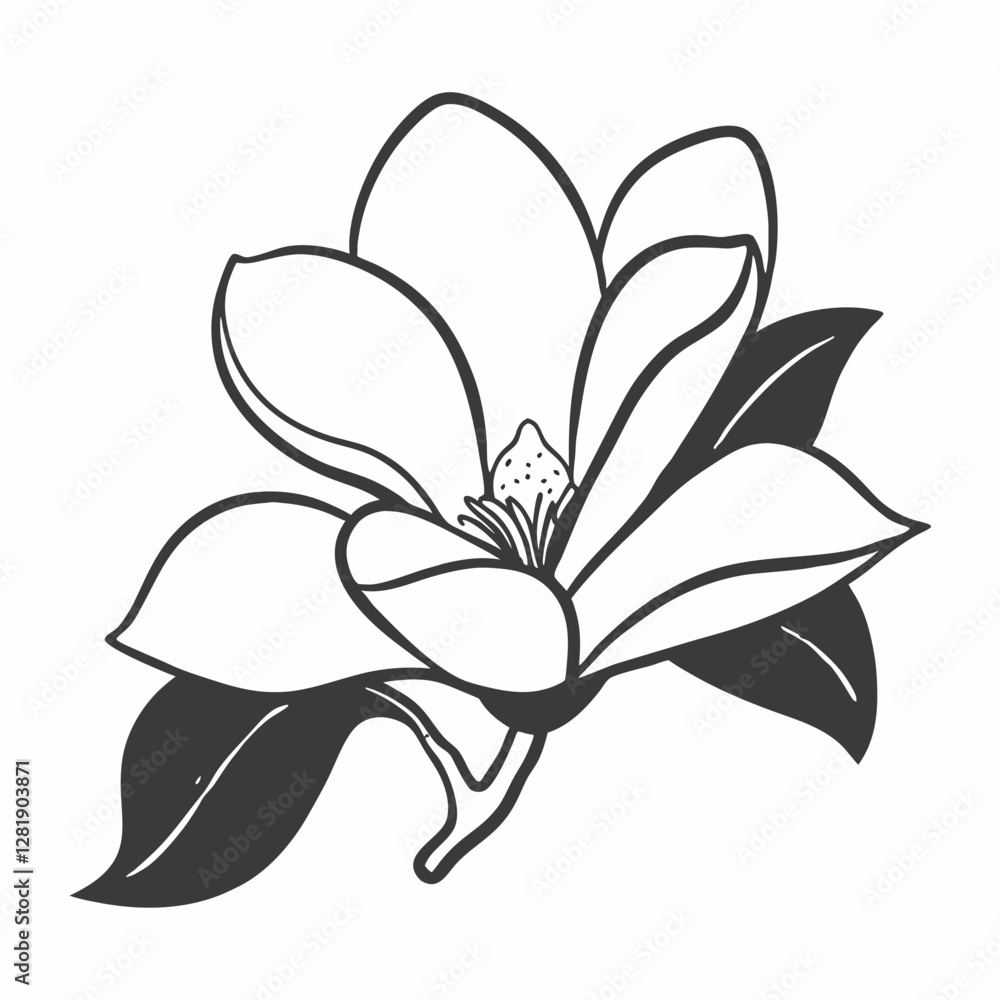 white lily flower white lily flower