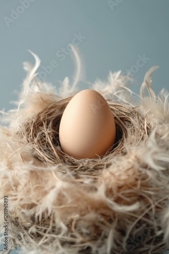 Cream colored egg inside feathered nest against blue background. photo