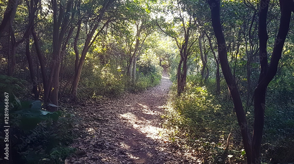 Naklejka premium Glowing hiking trail through a dense forest, vibrant sunlight breaking through trees, peaceful and refreshing