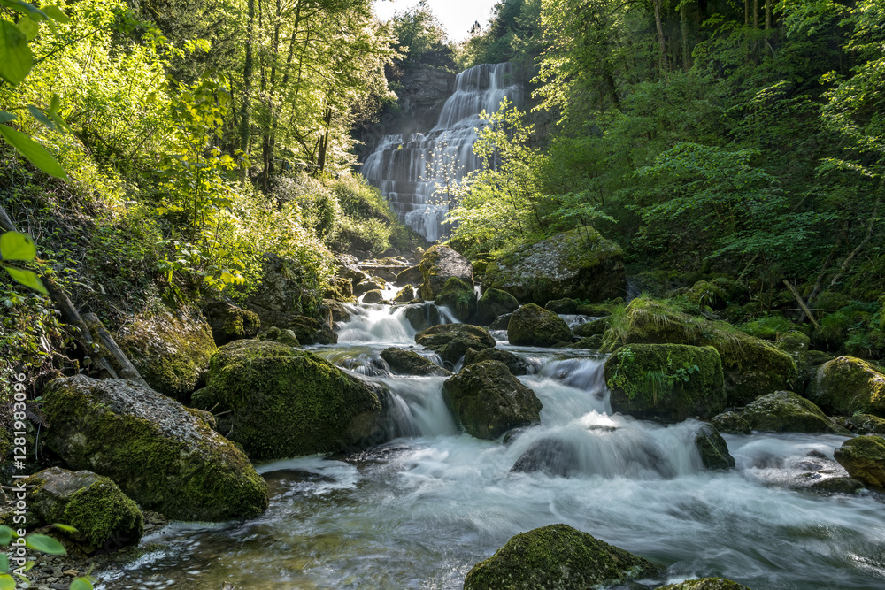 Obraz premium Cascade de l' éventail ,Cascades du Hérisson dans le Jura à Bonlieu au printemps , France