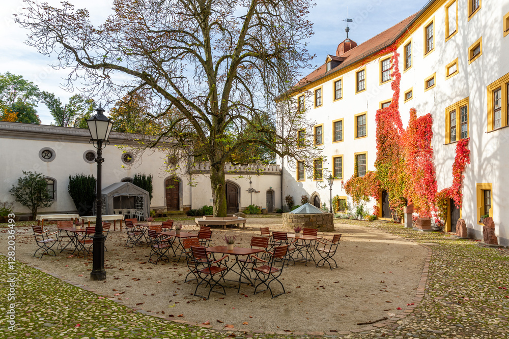 Cozy Glauchau Castle courtyard with well and chestnut tree, Germany
