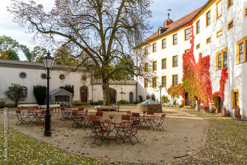 Obraz na płótnie Cozy Glauchau Castle courtyard with well and chestnut tree, Germany w salonie