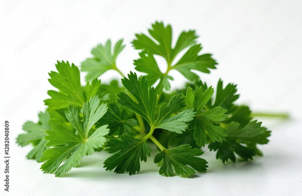 Fresh green parsley leaves isolated on white. Herb ingredient for cooking. Raw, organic, aromatic spice for vegetarian cuisine. Healthy garnish, culinary flavoring. Natural, fragrant seasoning. Macro Fresh green parsley leaves isolated on white. Herb ingredient for cooking. Raw, organic, aromatic spice for vegetarian cuisine. Healthy garnish, culinary flavoring. Natural, fragrant seasoning. Macro