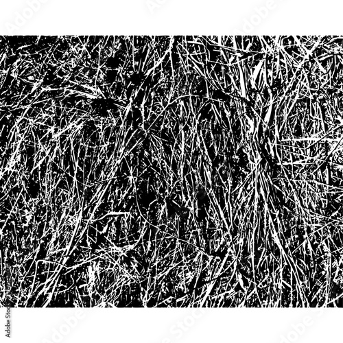 Dry grass, background, texture №1