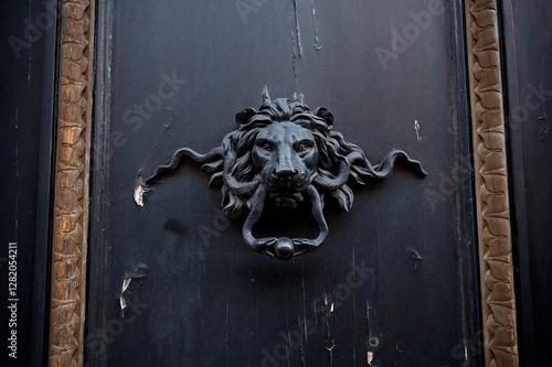 Ornate lion-shaped metal door knocker on a black wooden door