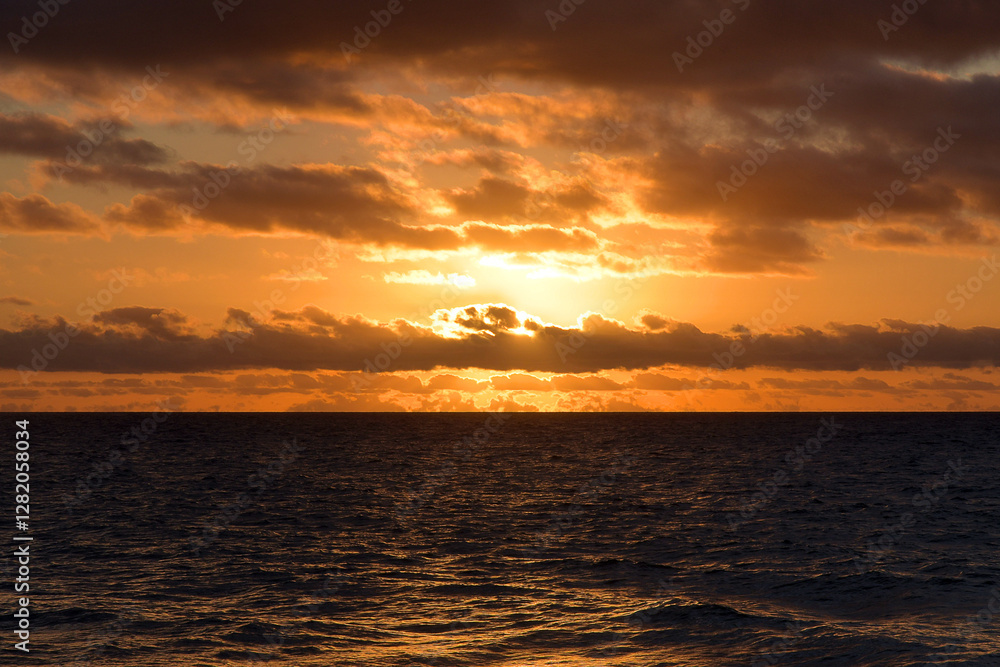 Obraz premium canary islands