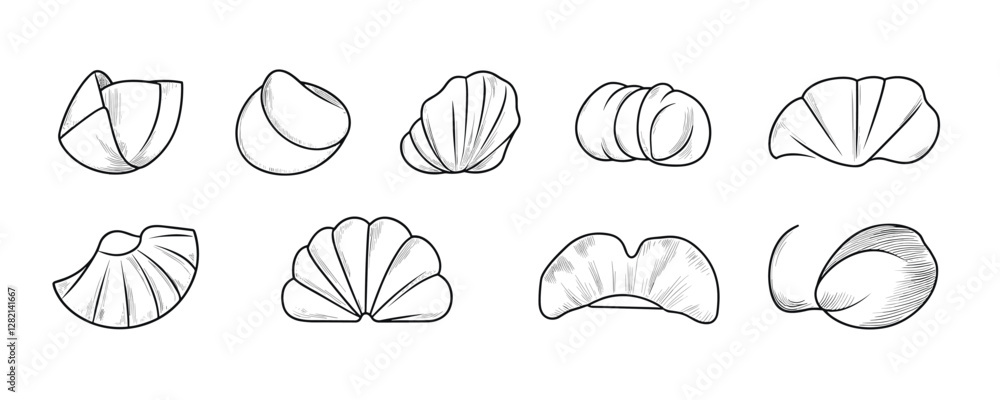 Flat linear icons set of seashells - vector art. Flat linear icons set of seashells - vector art.