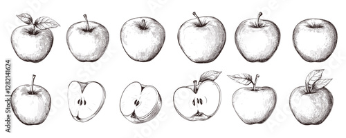 Flat linear apple icons set: diverse apple illustrations in vector style.