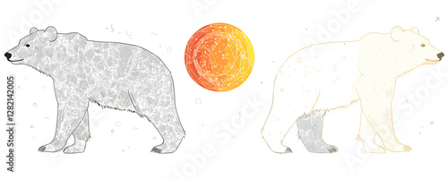 Flat icons set of two linear bears with abstract patterns and sun.