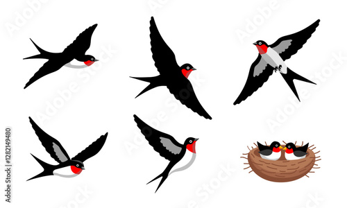 A collection of vector illustrations of swallows in flight and in a nest. The birds are depicted in various dynamic poses with black, white, and red coloring. Perfect for nature-themed designs, birdwa