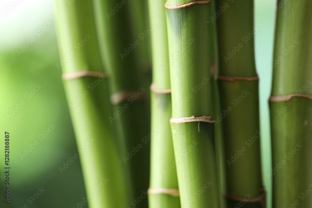 Decorative bamboo stems on blurred green background, closeup Decorative bamboo stems on blurred green background, closeup