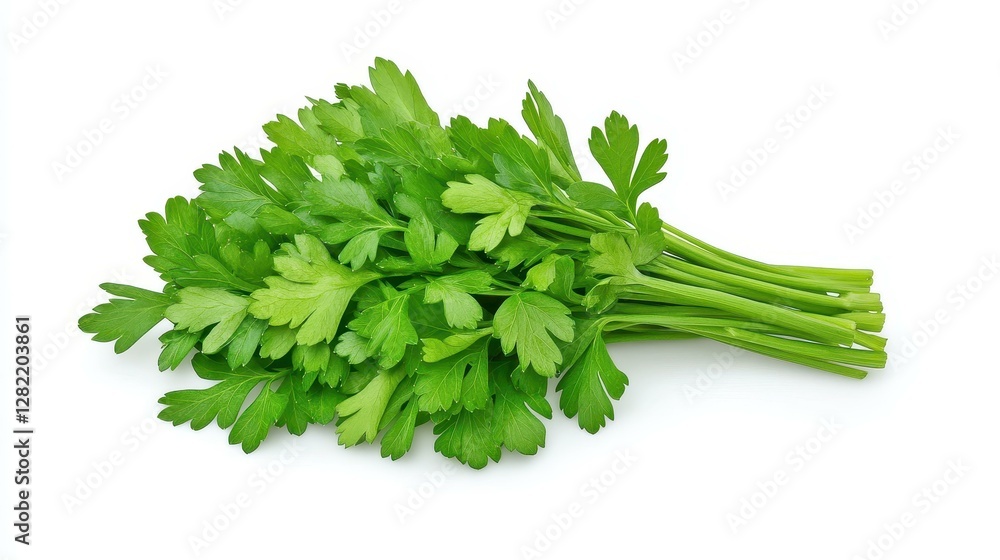 Fresh green parsley stands out on a clean white backdrop, showcasing its vibrant color and healthy appeal for cooking. Fresh green parsley stands out on a clean white backdrop, showcasing its vibrant color and healthy appeal for cooking.