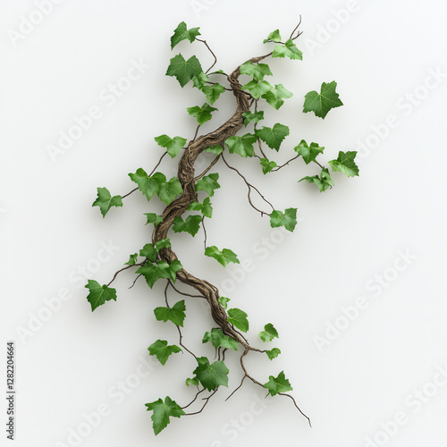 Obraz na płótnie Green Ivy Branch With Fresh Leaves on a White Background w salonie