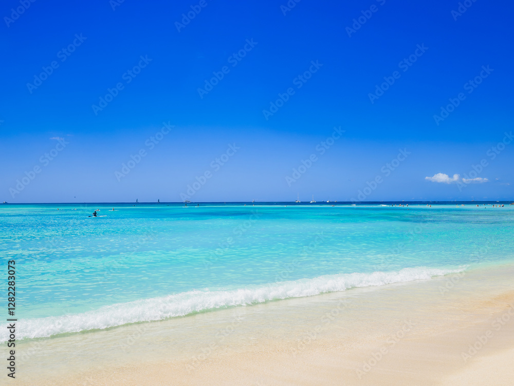 夏・海・ビーチイメージ ハワイ