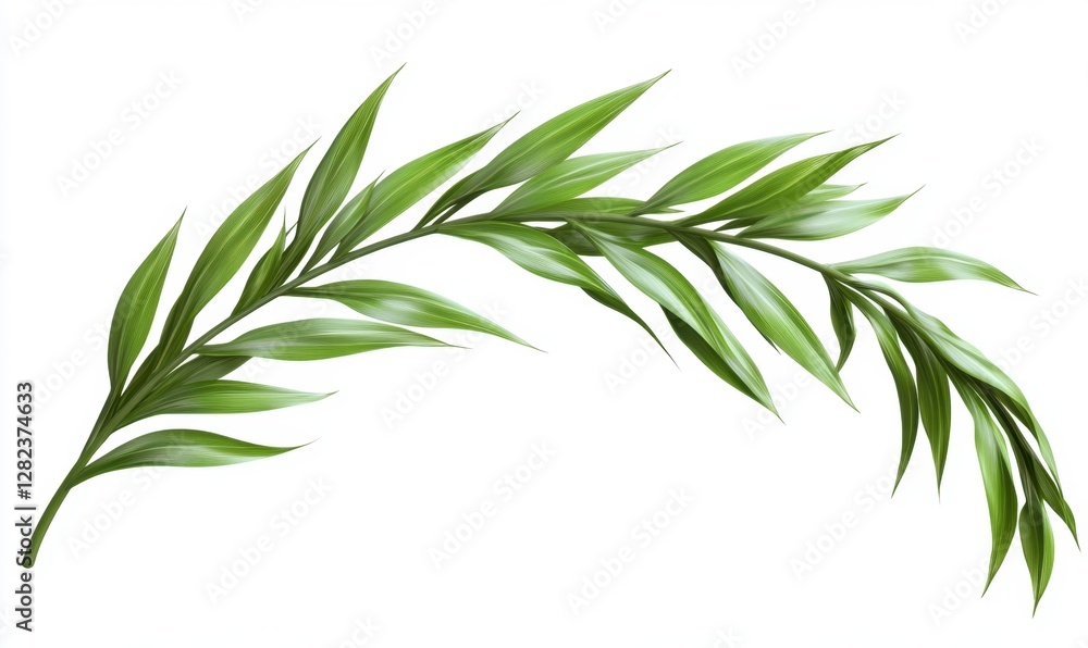 Fototapeta premium Lush green leaf branch gracefully arching against a clean white background, symbolizing nature