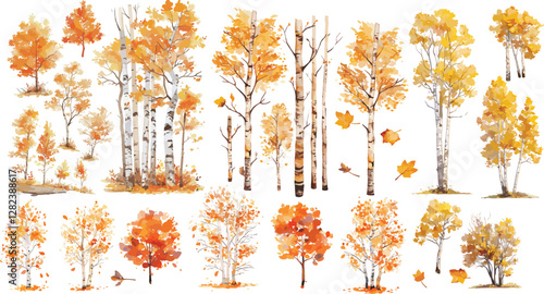 autumn birch tree watercolor clipart