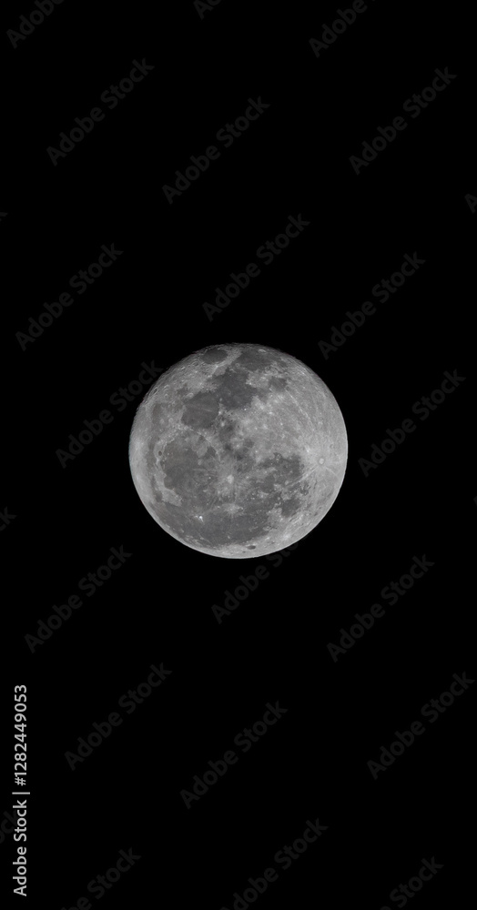 Obraz premium full moon in the night