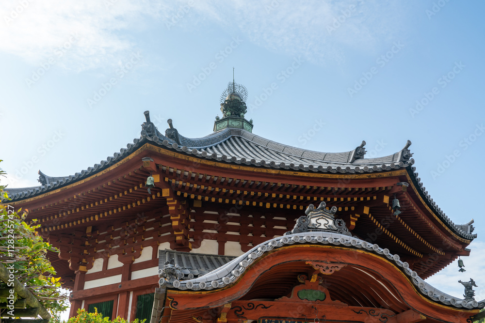 View of the Kofukuji Temple in Nara, Japan on a beautiful day View of the Kofukuji Temple in Nara, Japan on a beautiful day