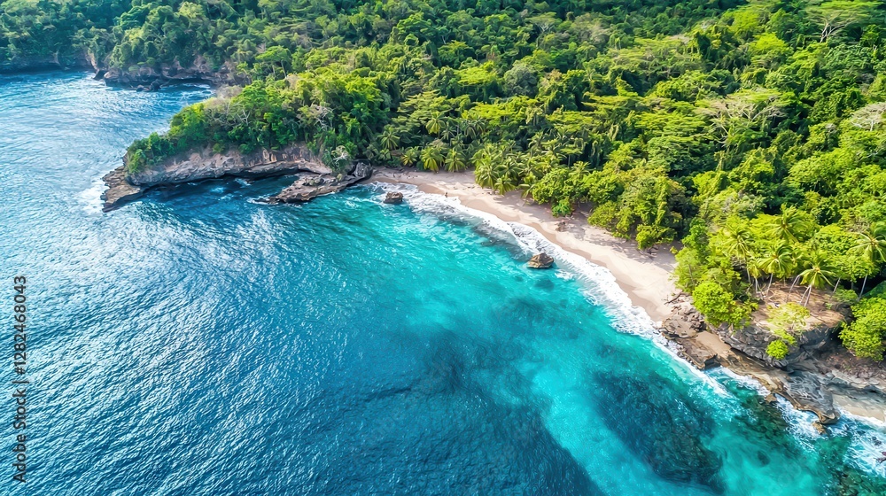 Obraz premium Secluded Tropical Beach Paradise Aerial View of Ocean Shore and Lush Green Jungle