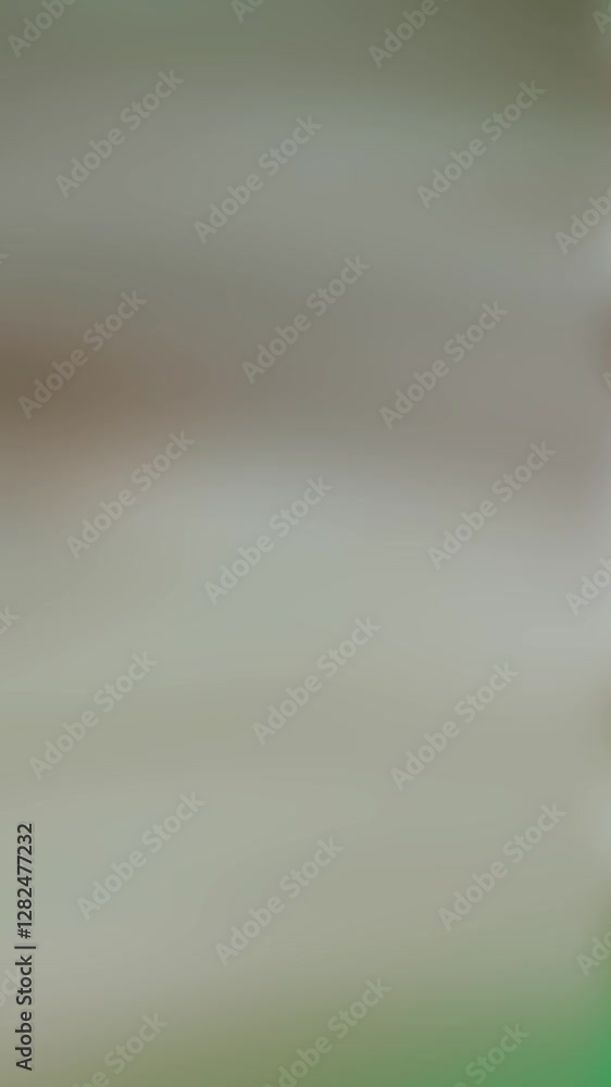 An abstract boho grunge gradient motion graphic background loop design.