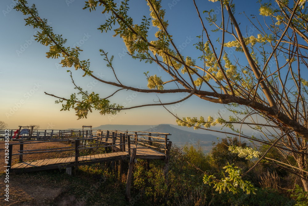 PHU PHA POH,The Mountain like Fuji-san in Japan,The great mountain of Thailand with a beautiful flower on the hill PHU PHA POH,The Mountain like Fuji-san in Japan,The great mountain of Thailand with a beautiful flower on the hill