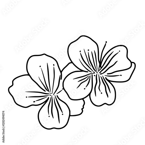 Cherry flower blossom, botanical art. Spring almond, sakura, branch, hand draw doodle line art illustration. black art, isolated on white background. Realistic floral bloom sketch.